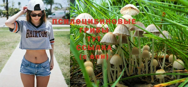 MDMA Premium VHQ Гусев