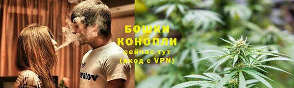метадон Гусь-Хрустальный