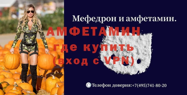 метадон Гусь-Хрустальный