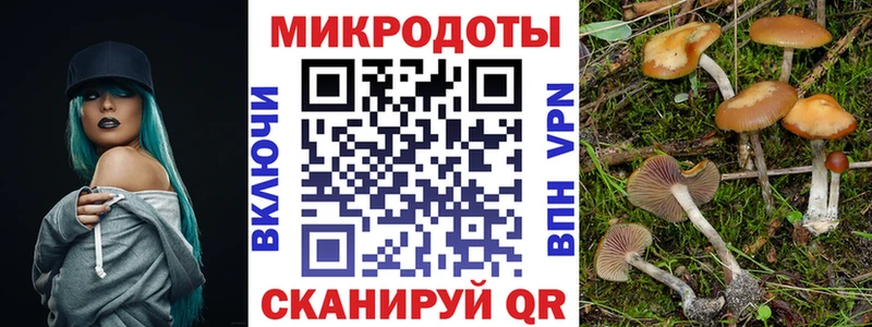Псилоцибиновые грибы Psilocybine cubensis Дубовка