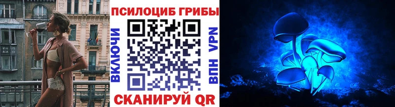 Псилоцибиновые грибы MAGIC MUSHROOMS  Дубовка 